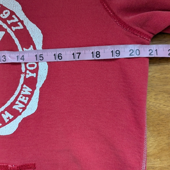 American Eagle Vintage Style Button Collar Distressed Hoodie Collegiate - Picture 13 of 14